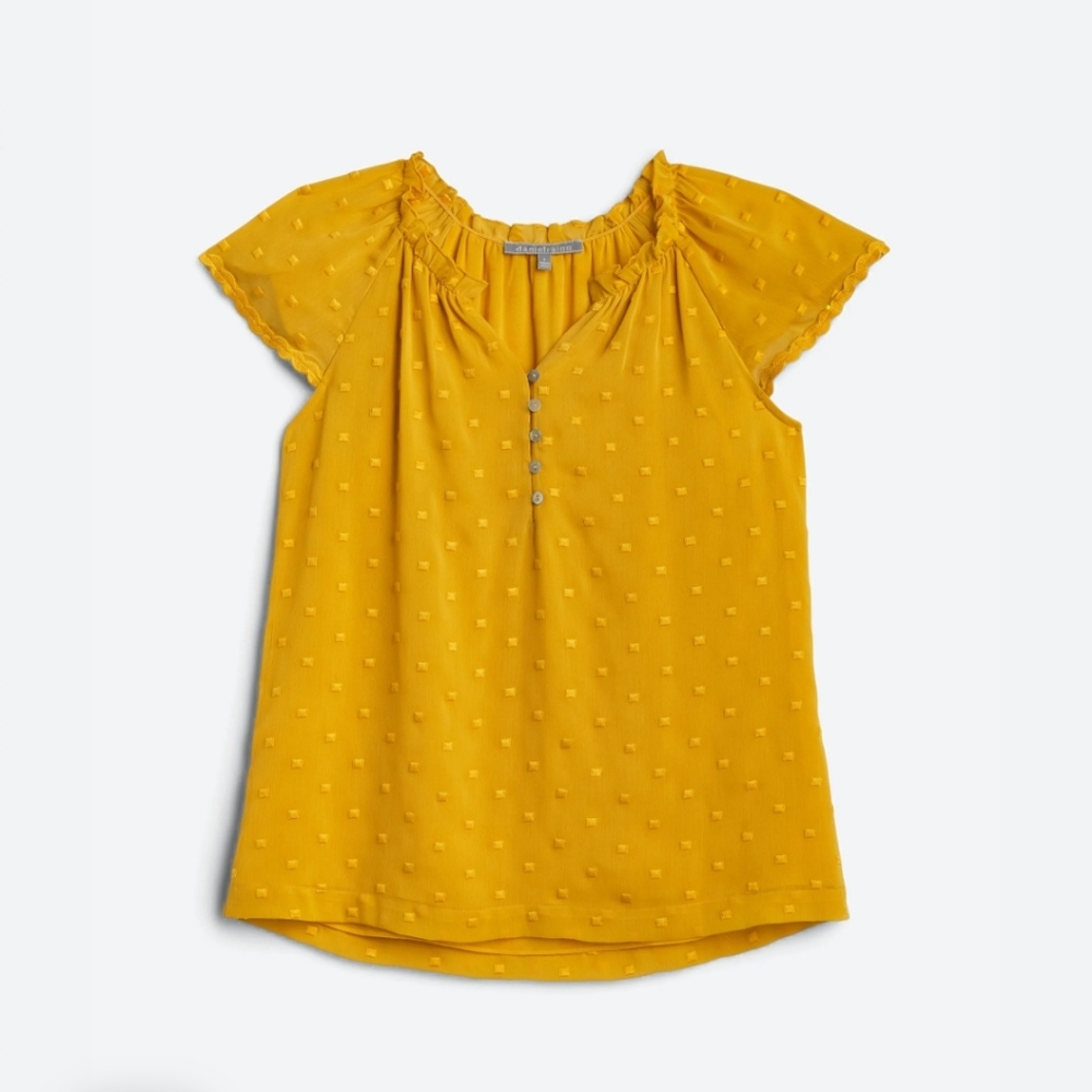 DANIEL RAINN, Short Sleeve Embroidered Dot Blouse